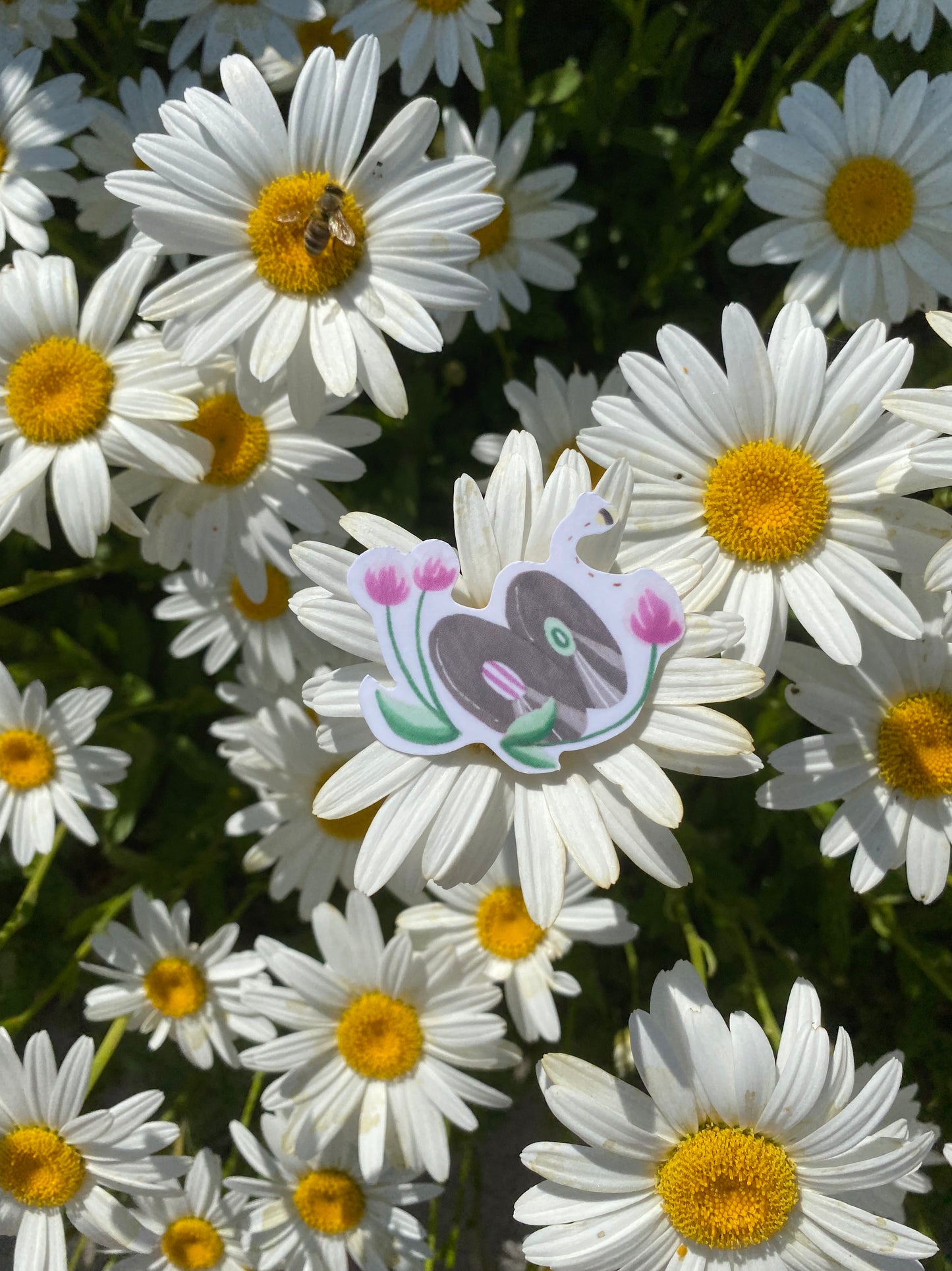 Tommy's Discs Sticker