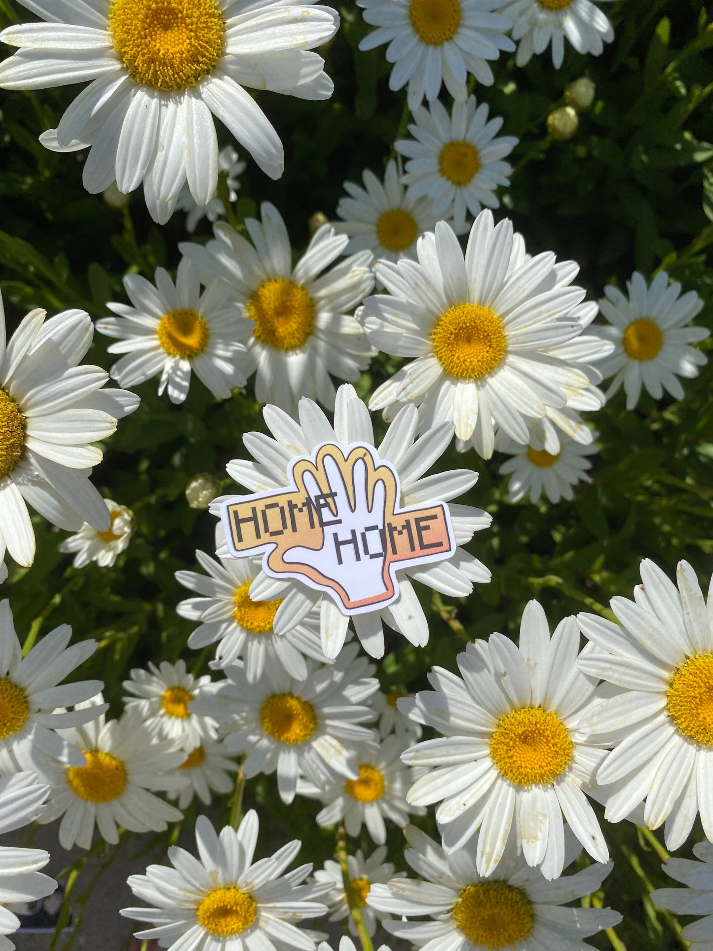 Home-Home Sticker